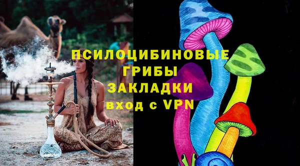 гашик Балахна