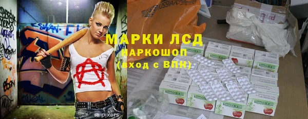 гашик Балахна